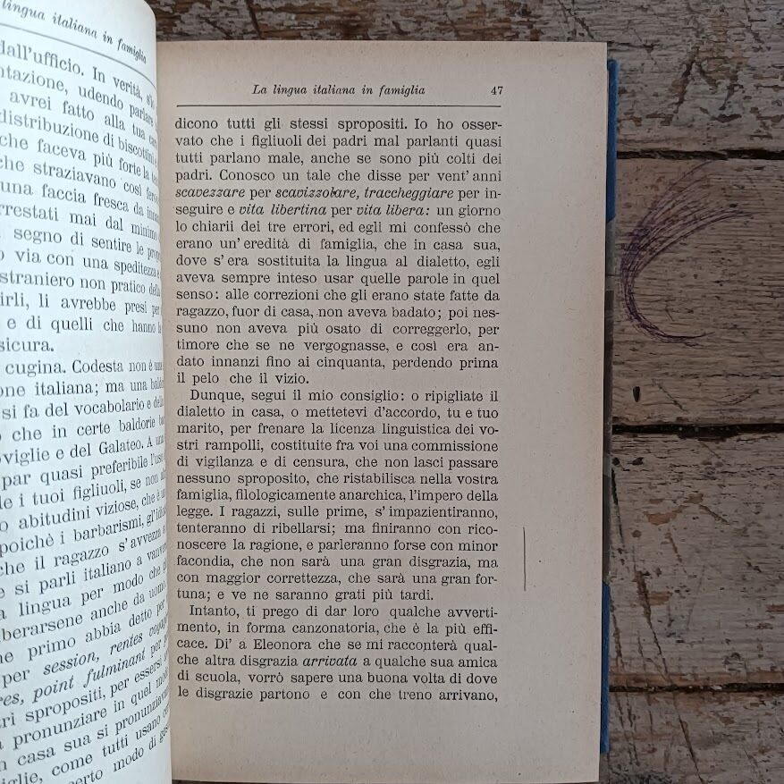 L'idioma gentile - immagine 5