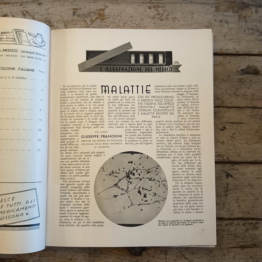 L'illustrazione del medico (1936) - immagine 4