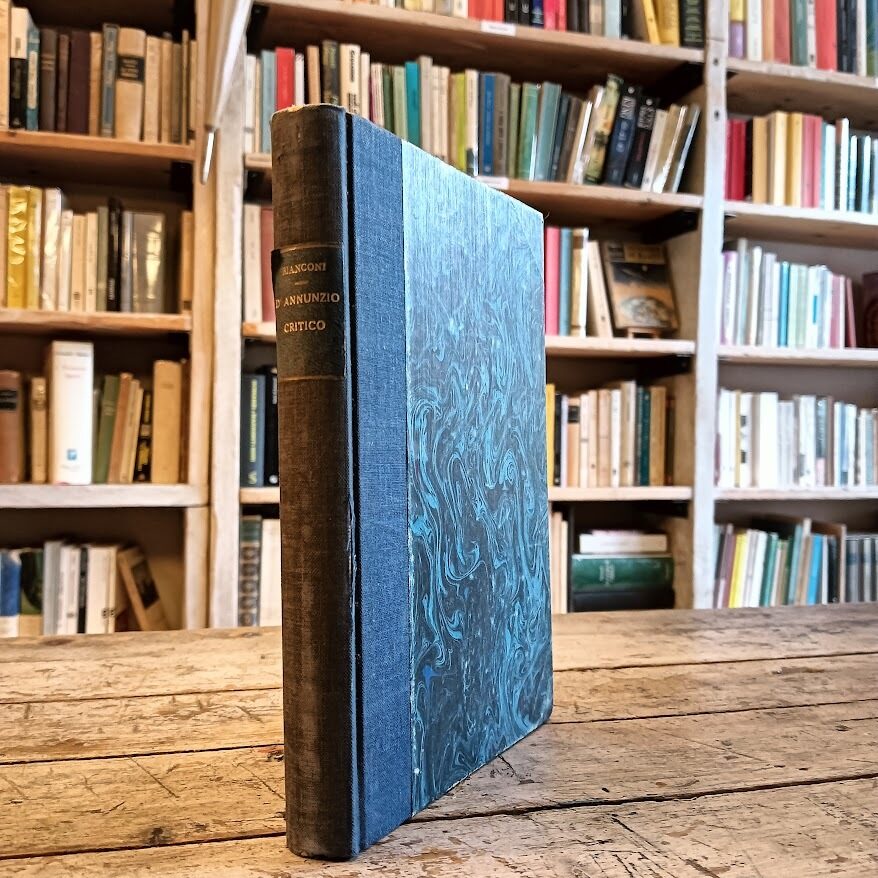 D'Annunzio critico