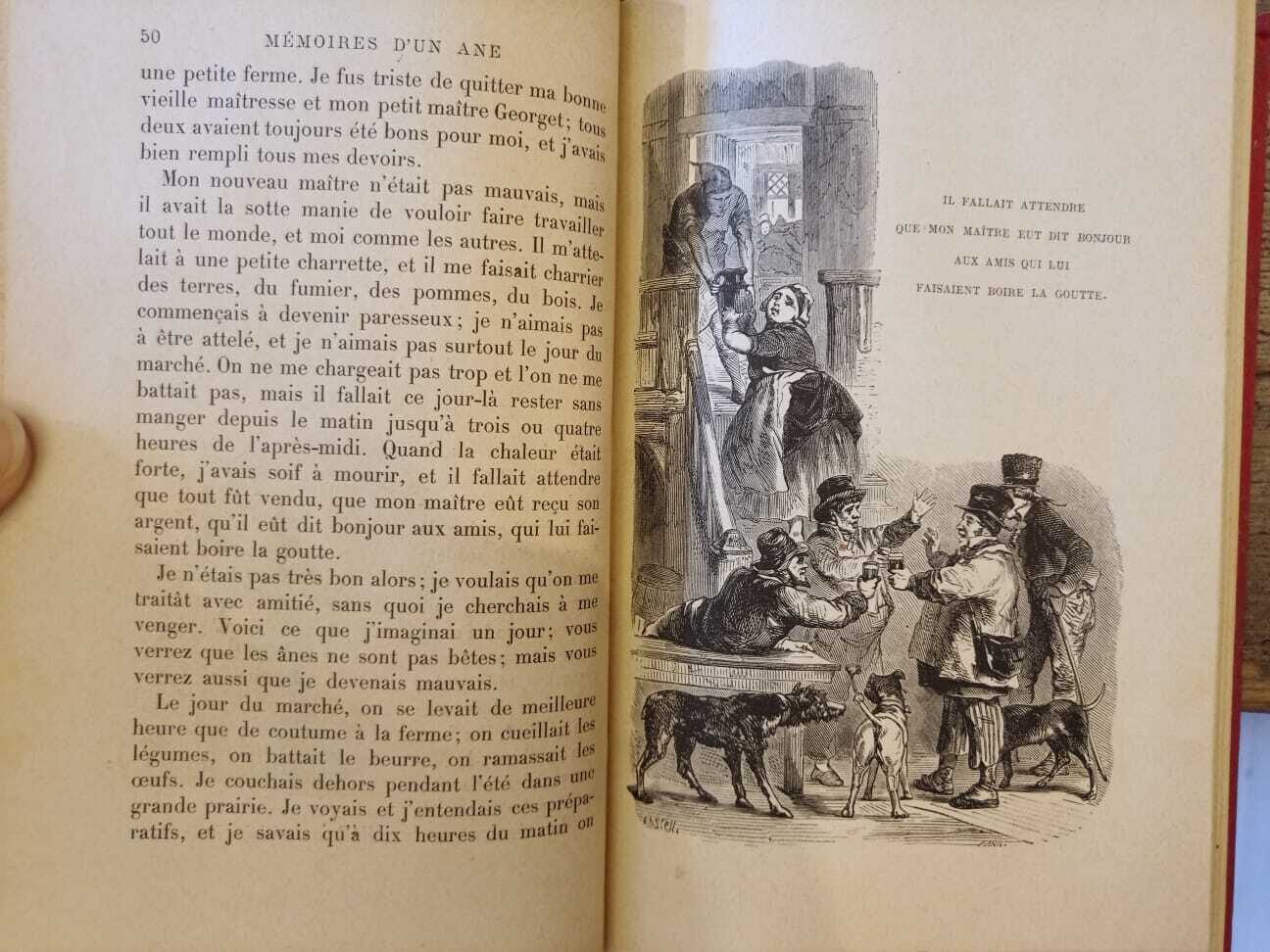 Mémoires d'un ane - immagine 2