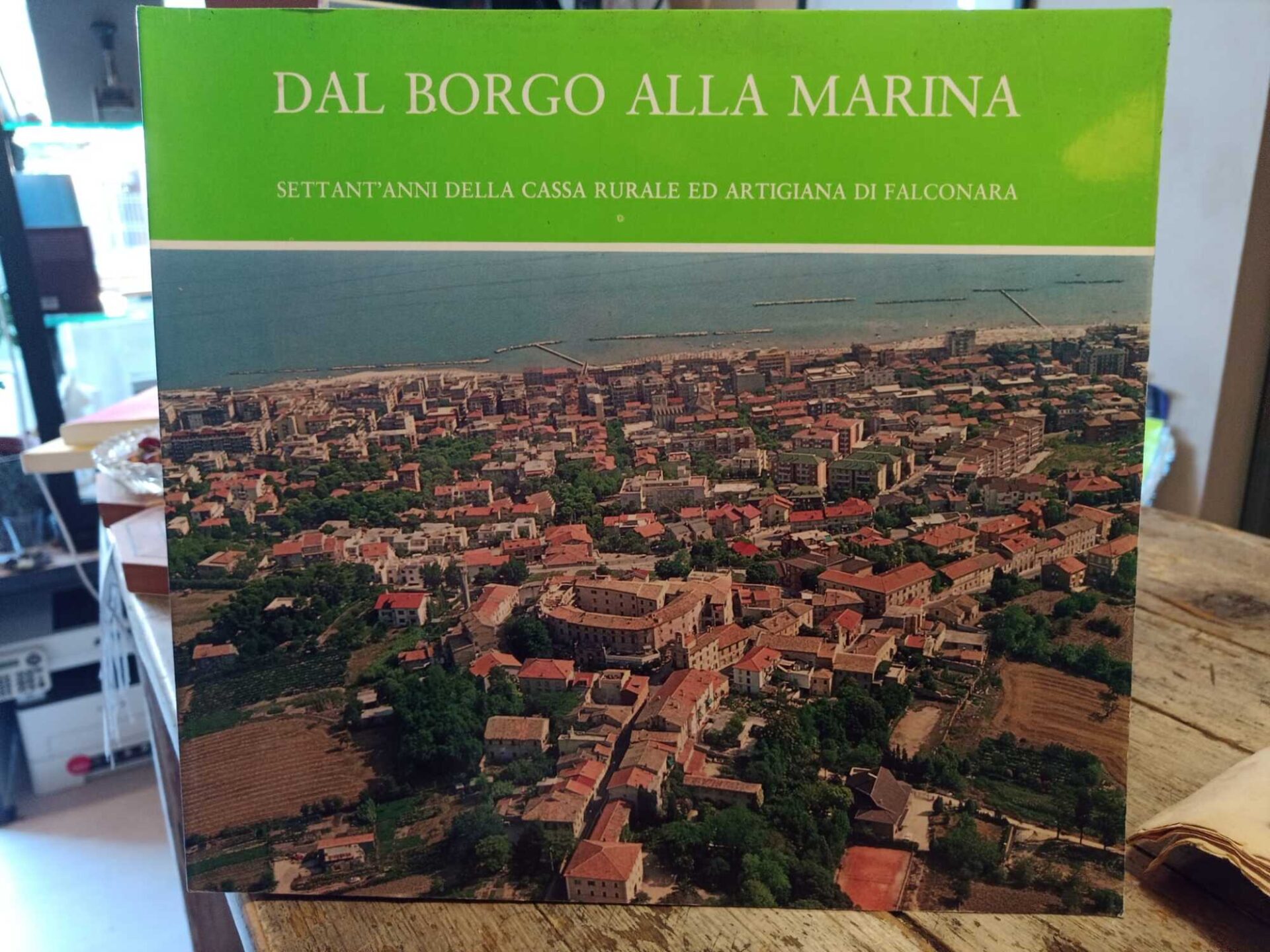 Dal Borgo alla Marina. Settant'anni della cassa rurale ed artigiana di Falconara