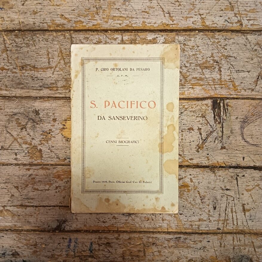 S. Pacifico da Sanseverino. Cenni biografici