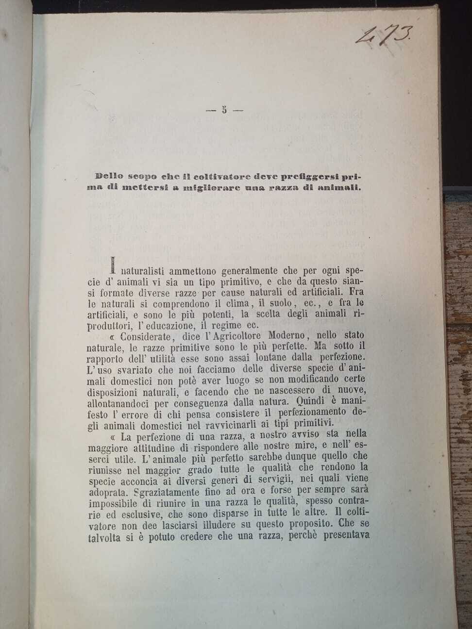 Memoria sul miglioramento del bestiame vaccino - immagine 2