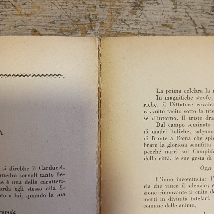 Garibaldi nel canto dei poeti - immagine 6