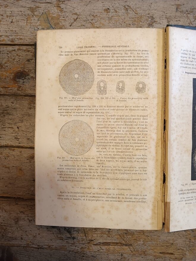 Physiologie Humaine (Vol. 1) - immagine 9