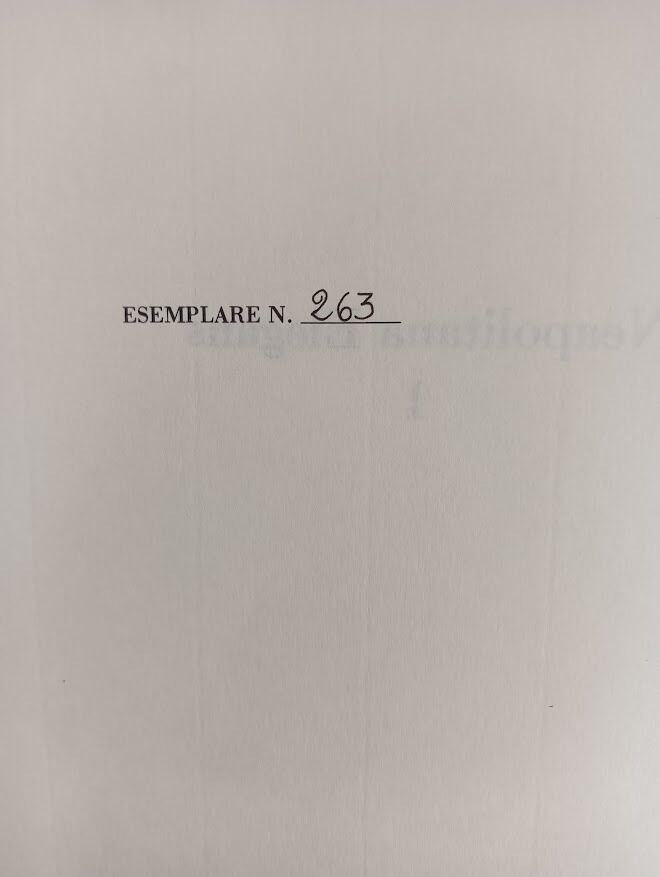 L universo in Napoli in scritto e figura. - cofanetto con tomo 1 e 2 - Napoli e le sue costumanze - immagine 6