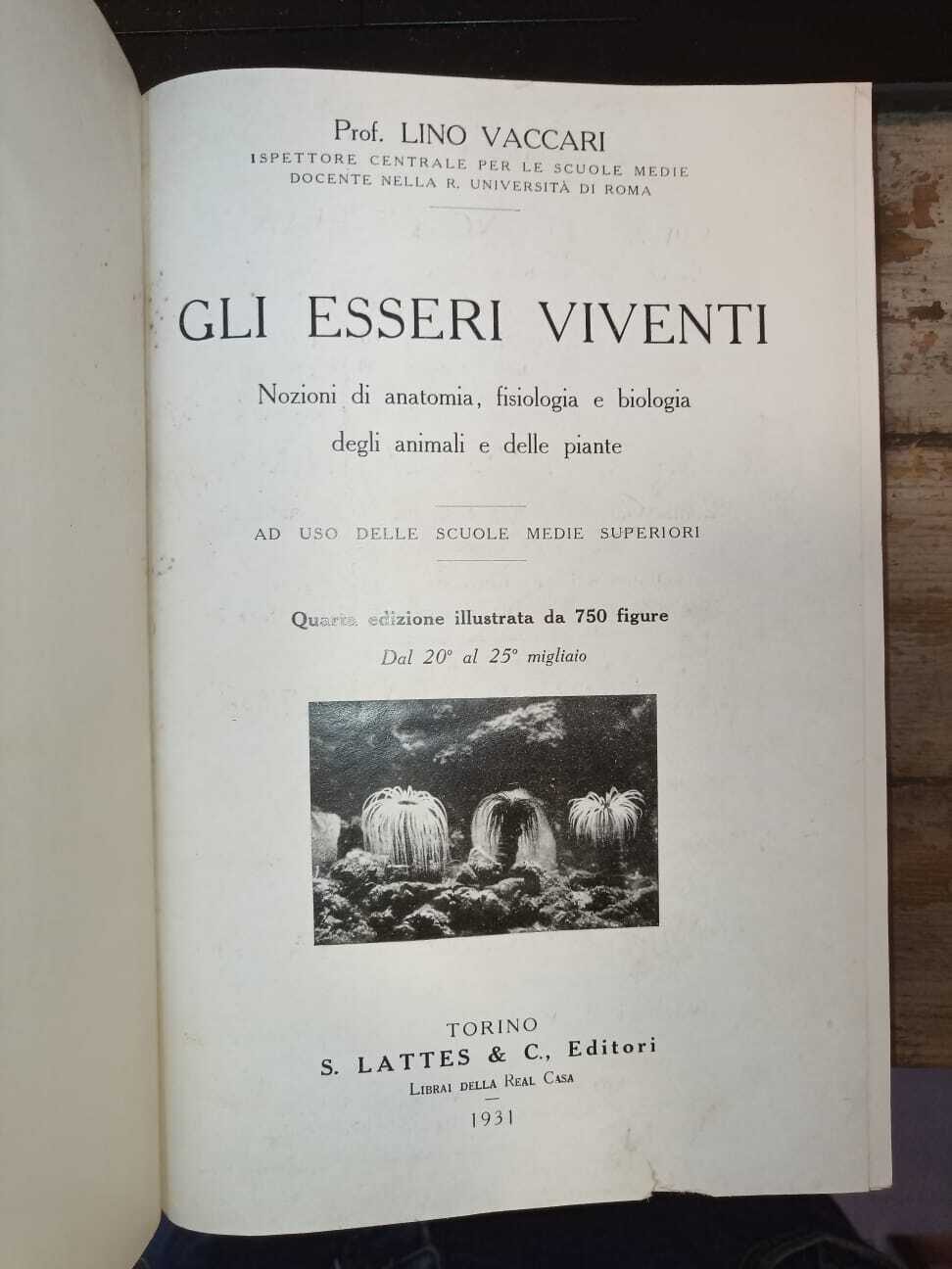 Gli esseri viventi