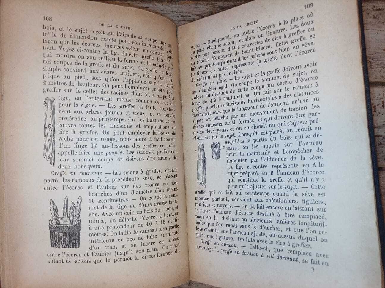 Le jardinier des petits jardins - immagine 4