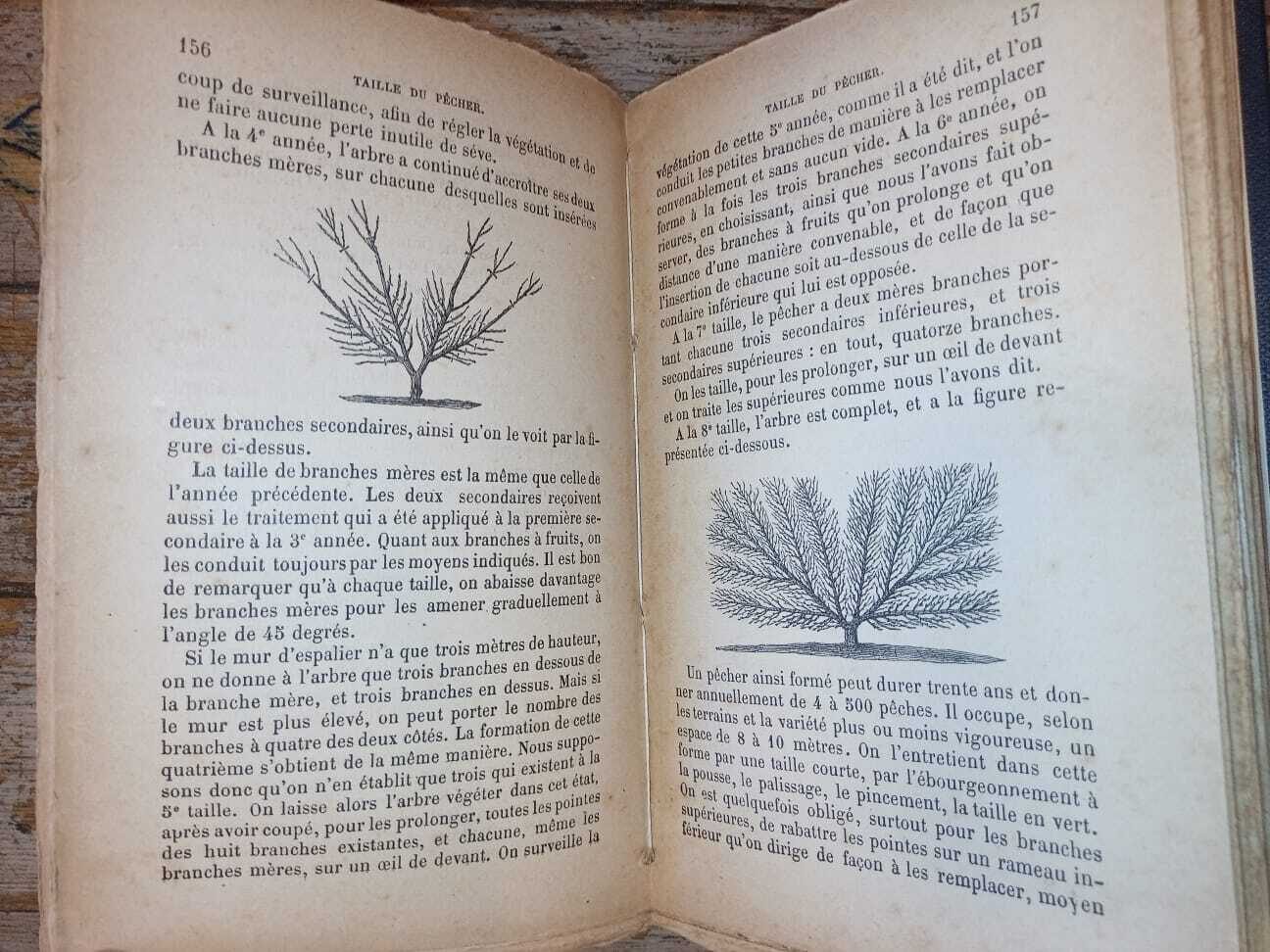 Le jardinier des petits jardins - immagine 5