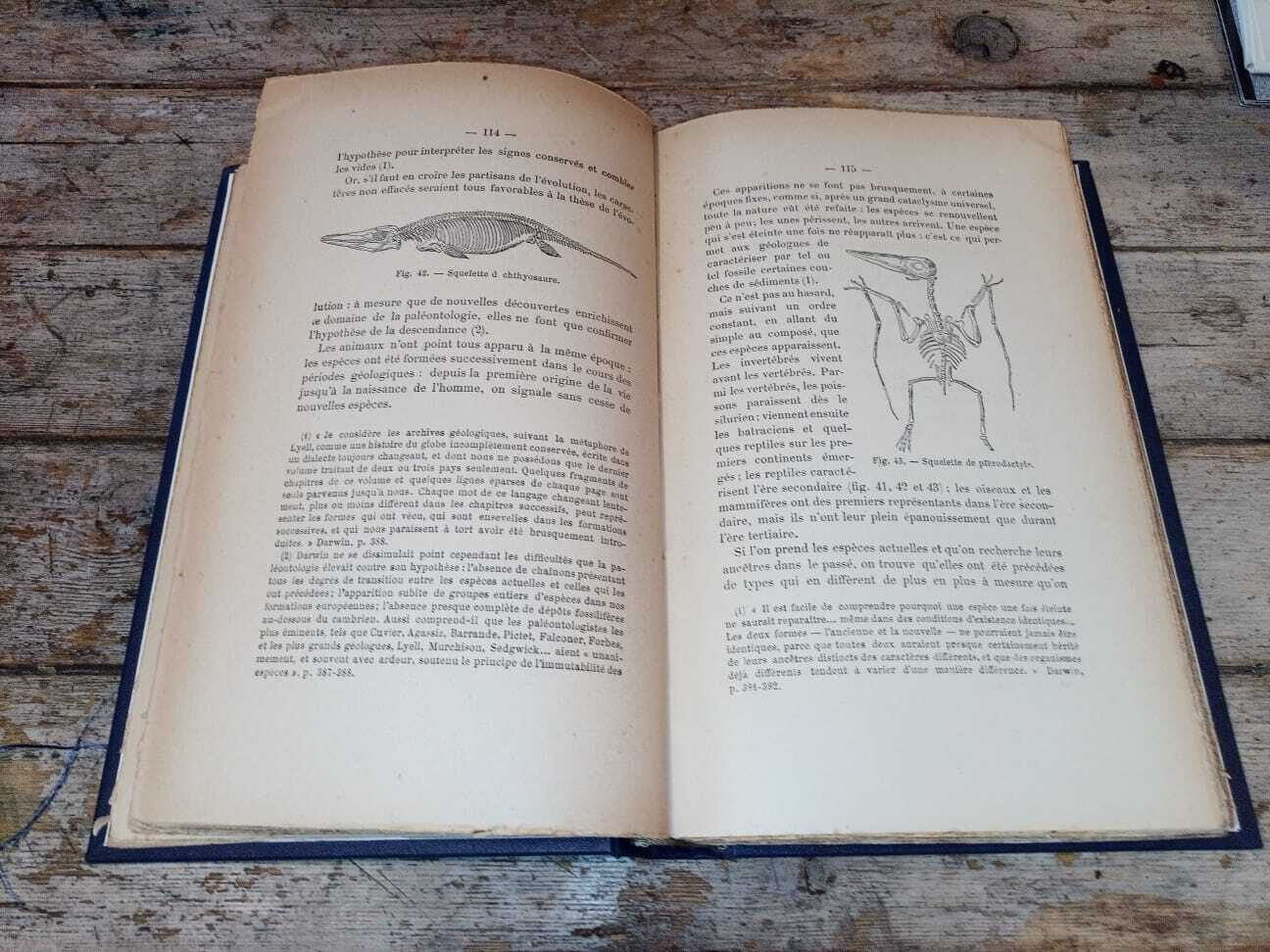 Les origines. Questions d'apologétique - immagine 2