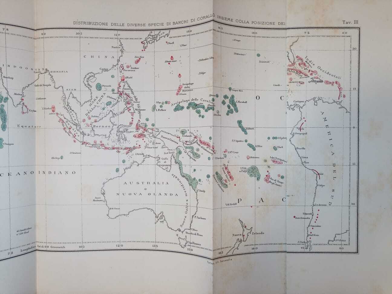 Sulla struttura e distribuzione dei banchi di corallo delle isole madreporiche - immagine 5