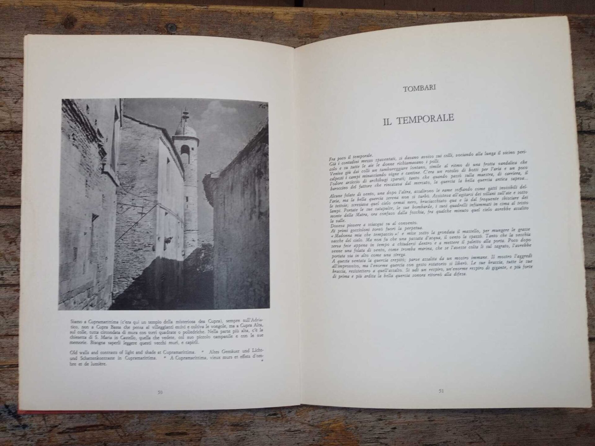 Le Marche - immagine 3