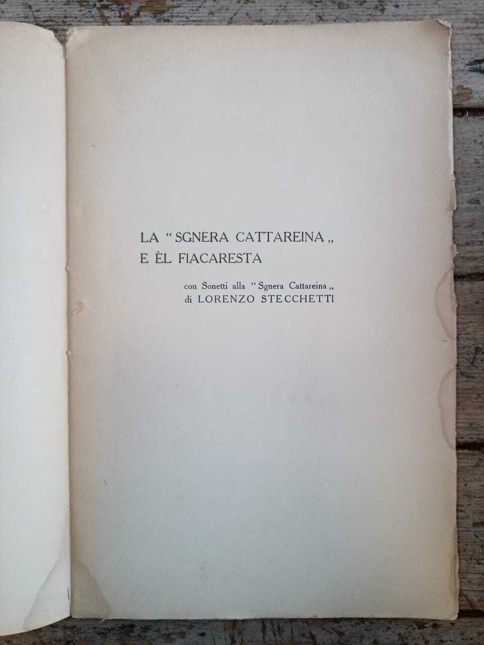 La sgnera Cattareina e èl Ficaresta - immagine 3