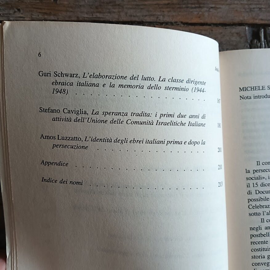 Lotto 3 libri edizioni Giuntina sull'ebraismo: Friedrich G. Friedmann, Da Cohen a Benjamin. Essere ebrei tedeschi - Il ritorno alla vita: vicende e diritti degli ebrei in Italia dopo la seconda guerra mondiale - Appartenenza e differenza: ebrei d'Italia e letteratura - immagine 8