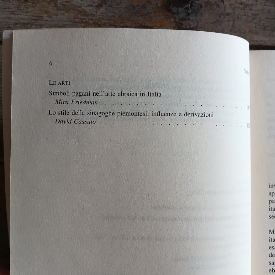 Lotto 3 libri edizioni Giuntina sull'ebraismo: Friedrich G. Friedmann, Da Cohen a Benjamin. Essere ebrei tedeschi - Il ritorno alla vita: vicende e diritti degli ebrei in Italia dopo la seconda guerra mondiale - Appartenenza e differenza: ebrei d'Italia e letteratura - immagine 11