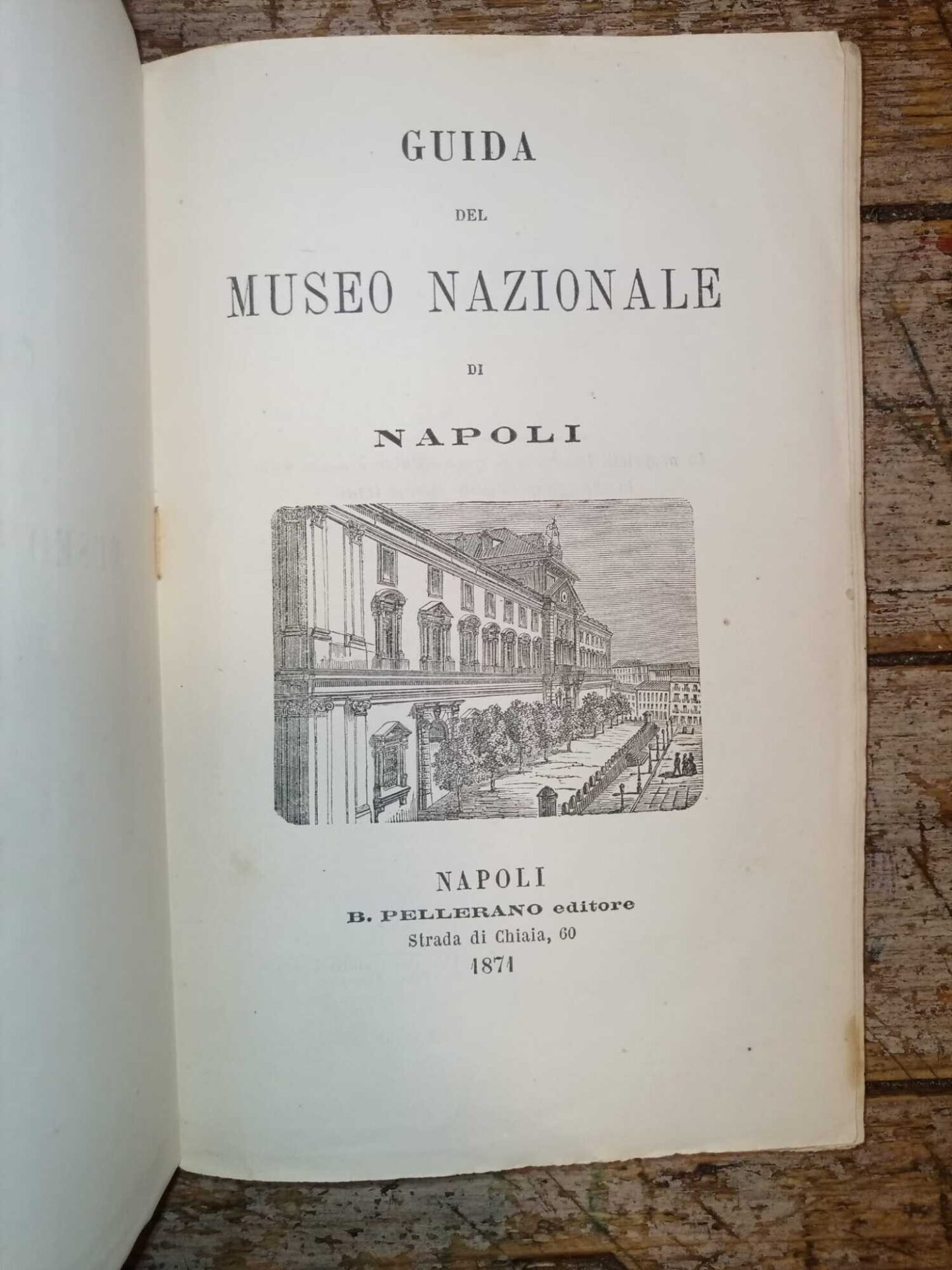 Guida del Museo Nazionale di Napoli - immagine 2