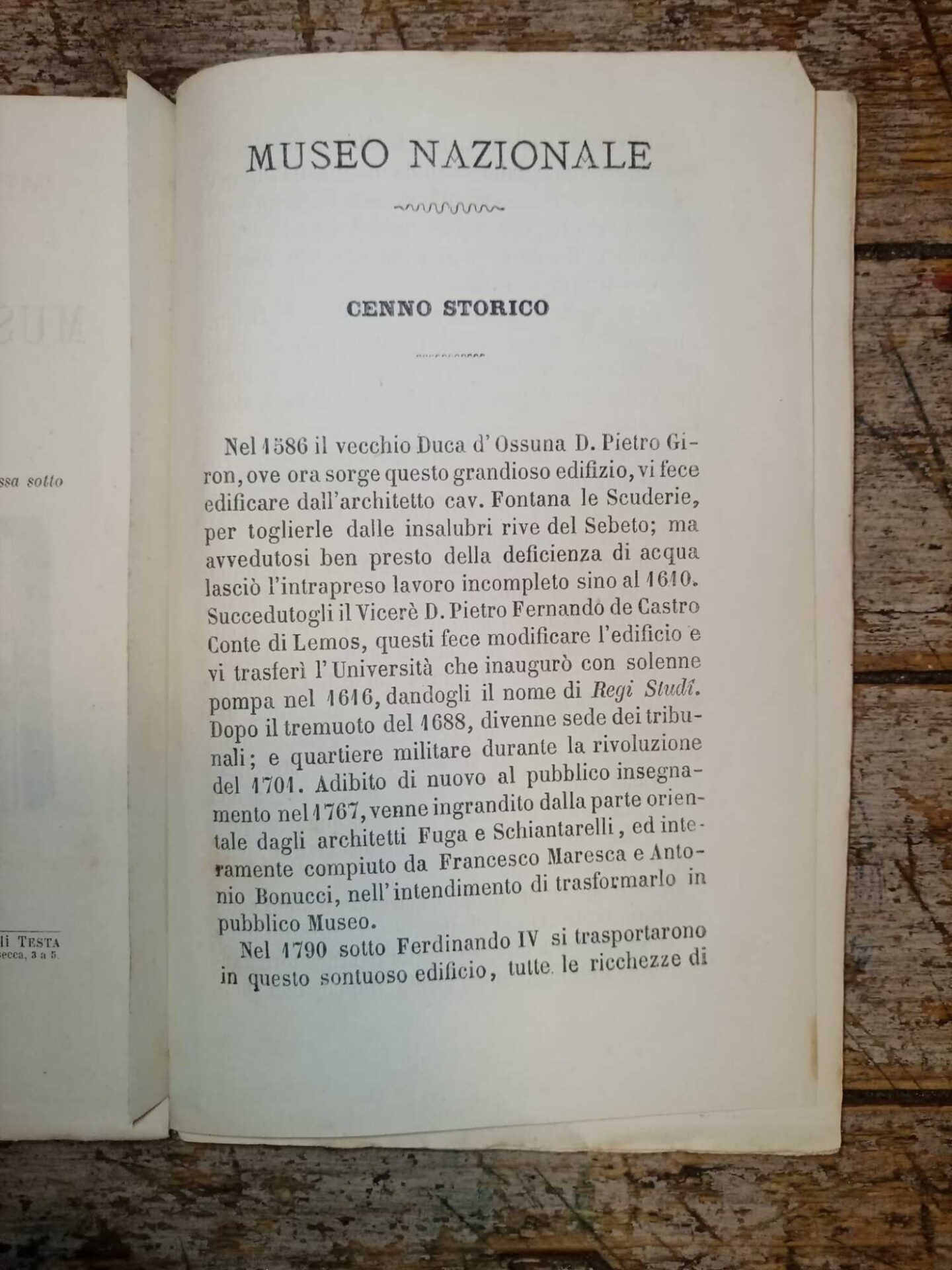 Guida del Museo Nazionale di Napoli - immagine 3