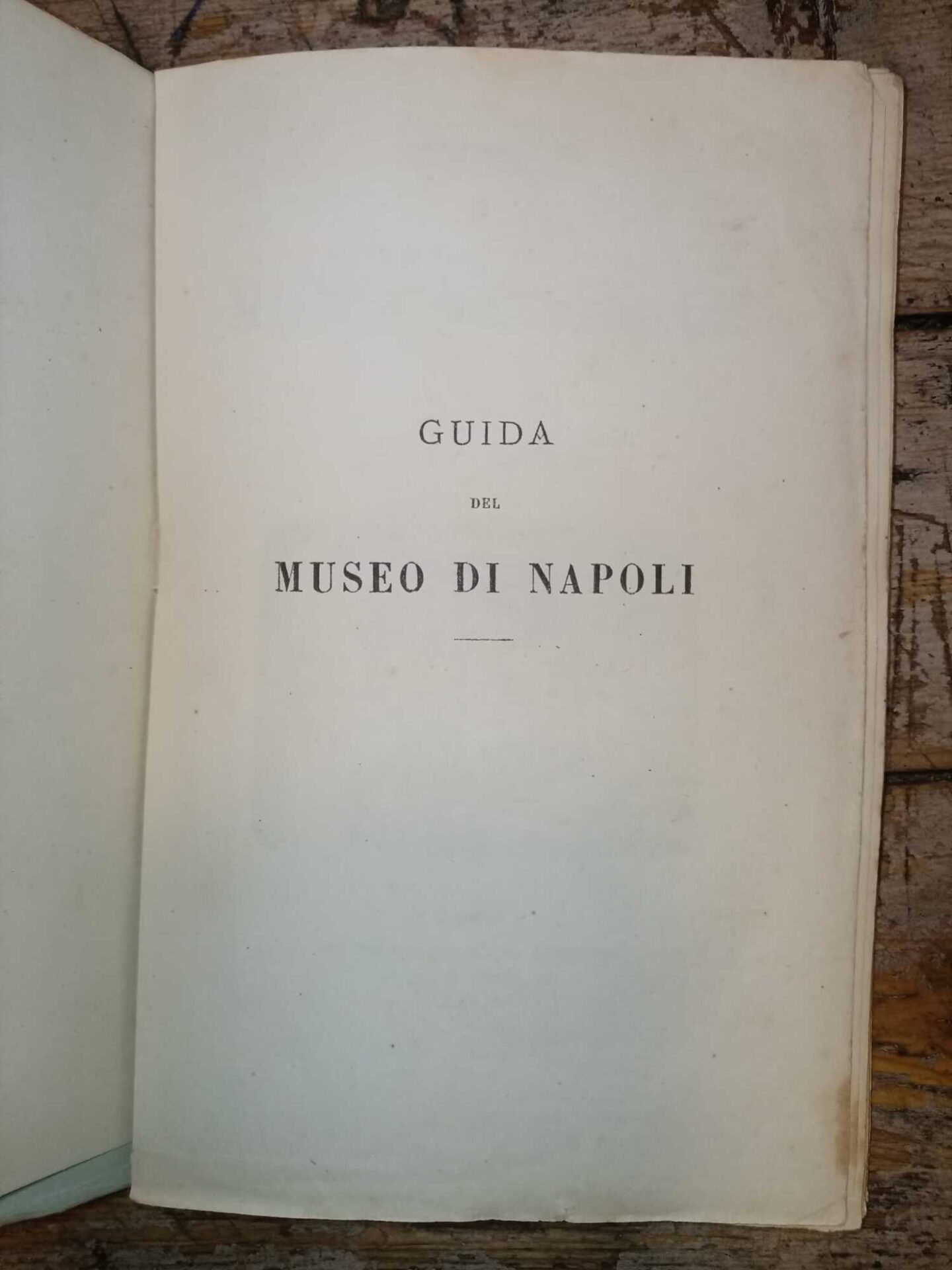 Guida del Museo Nazionale di Napoli - immagine 8