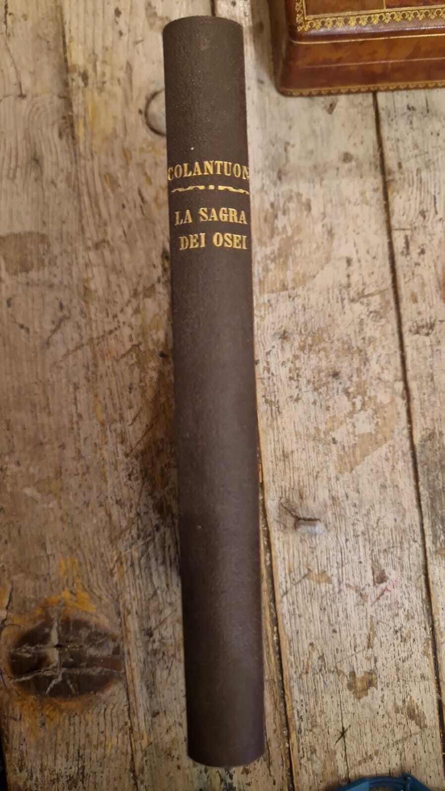 La sagra degli osei - immagine 3