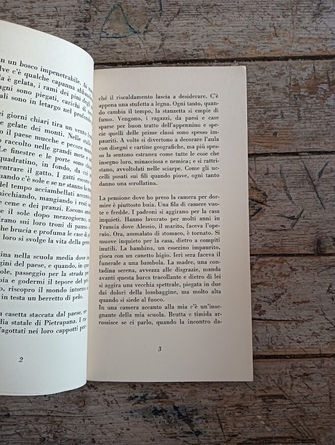 Il supplente - immagine 4