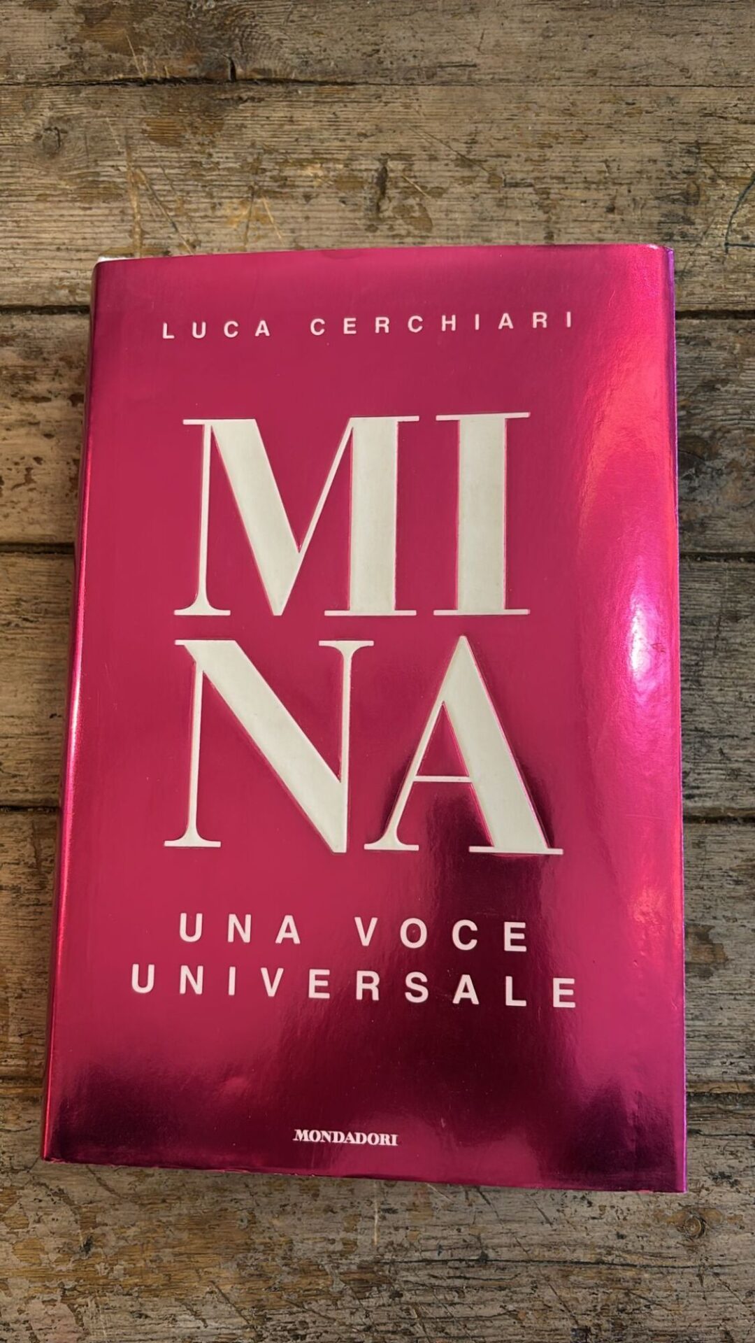 Mina, una voce universale