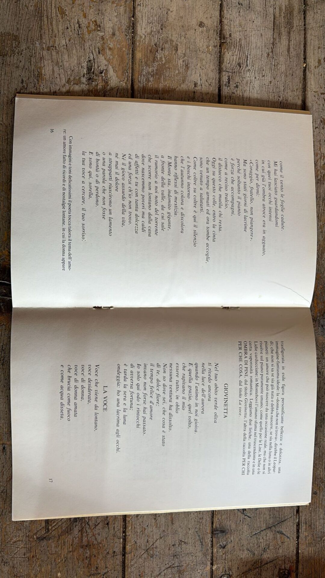 La poesia di Ascenzo Montebovi - immagine 2