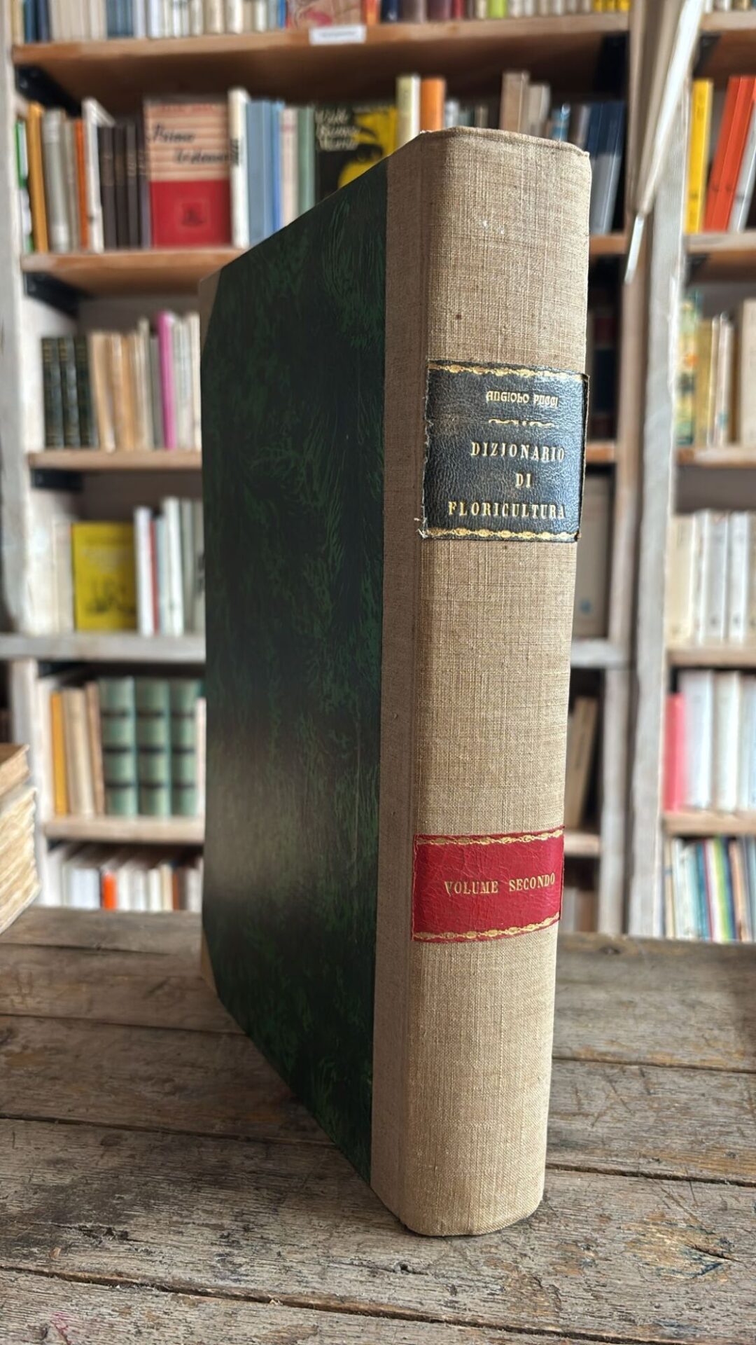Dizionario generale di floricultura, vol. 2 - immagine 2