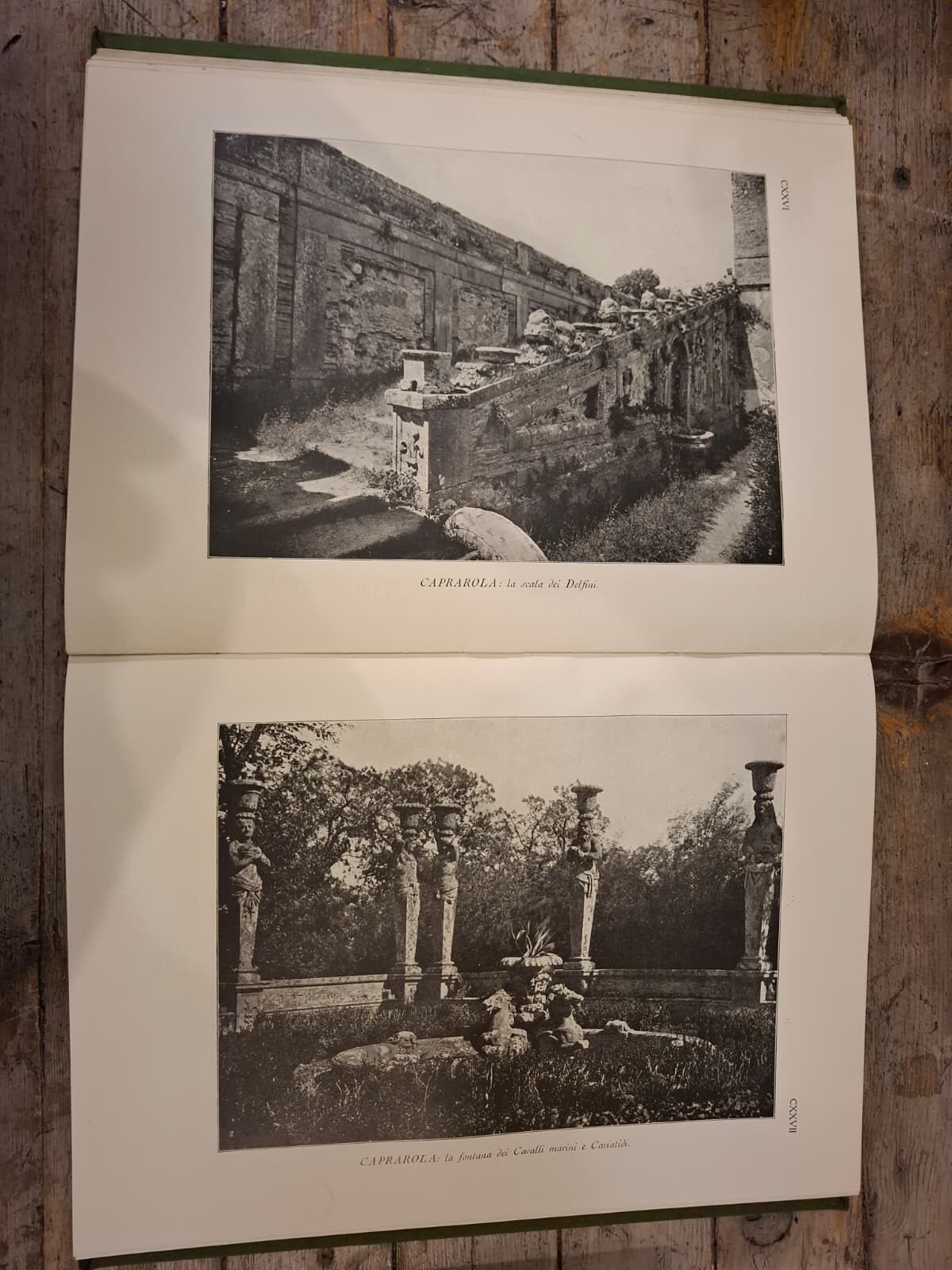 Il giardino italiano - immagine 3