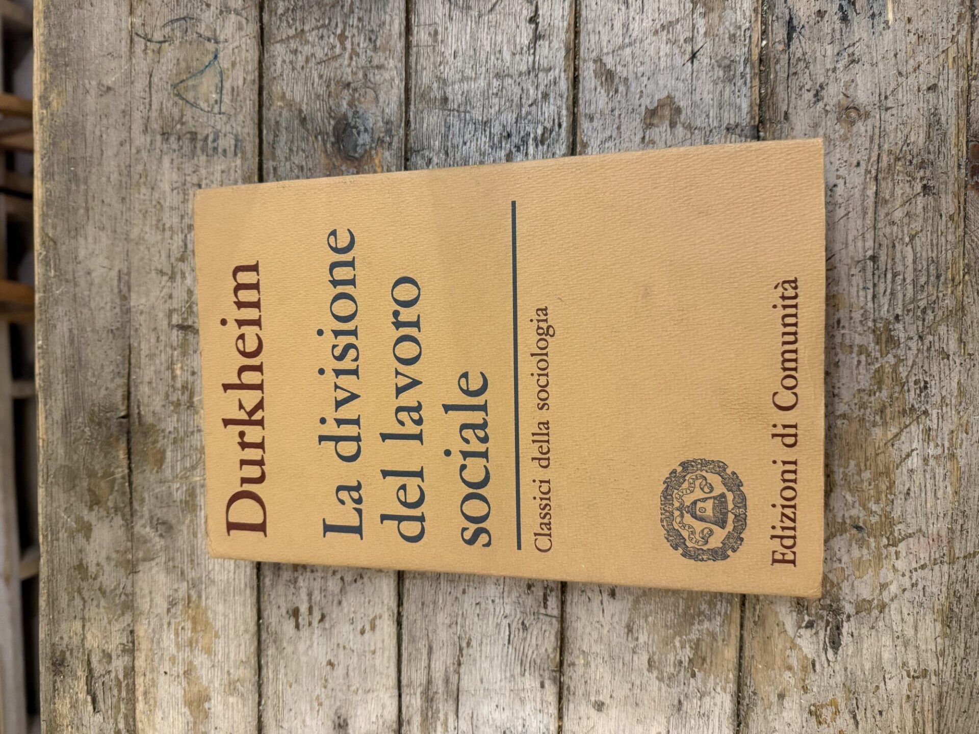 La divisione del lavoro sociale
