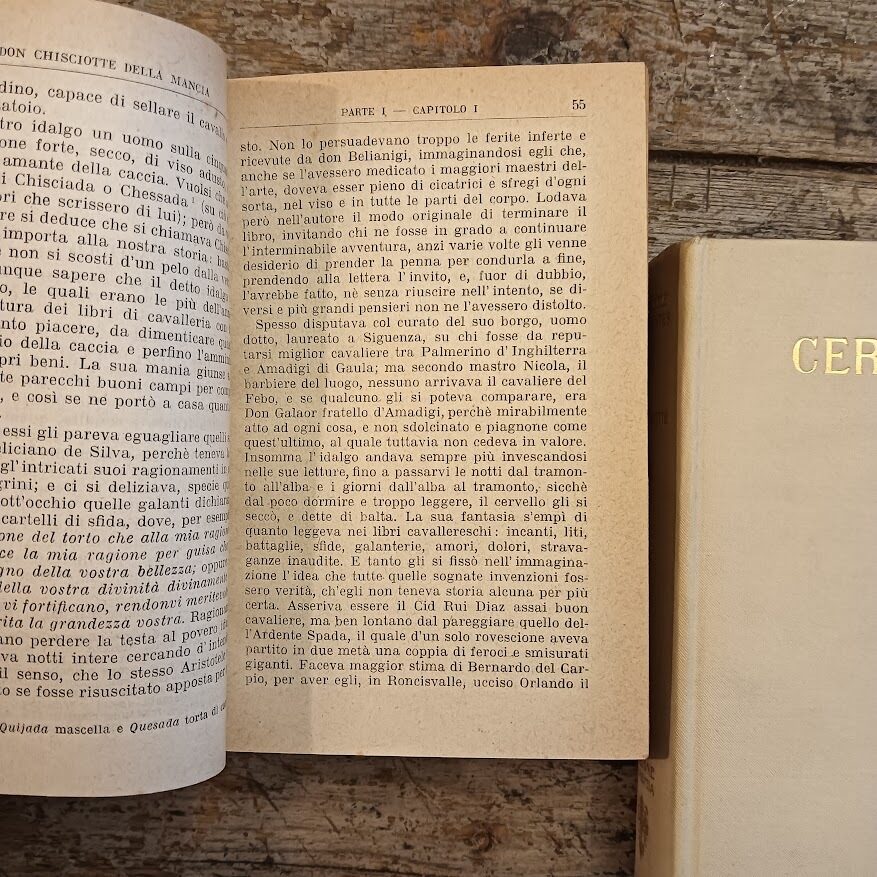 Don Chisciotte Della Mancia - immagine 2