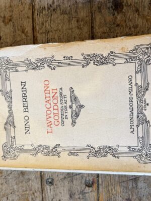 L'avvocatino Goldoni
