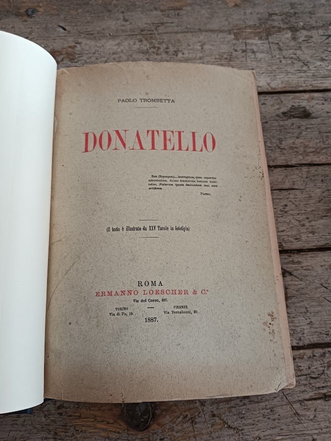 Donatello - immagine 3