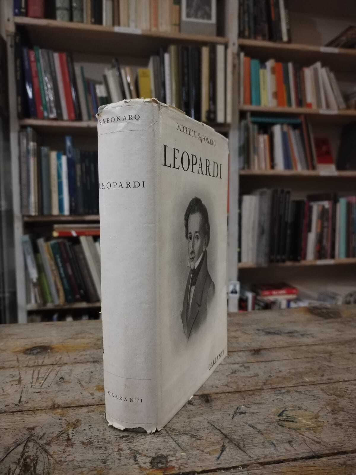 Leopardi - immagine 2