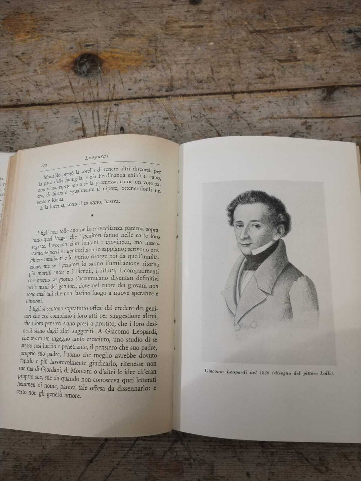 Leopardi - immagine 3
