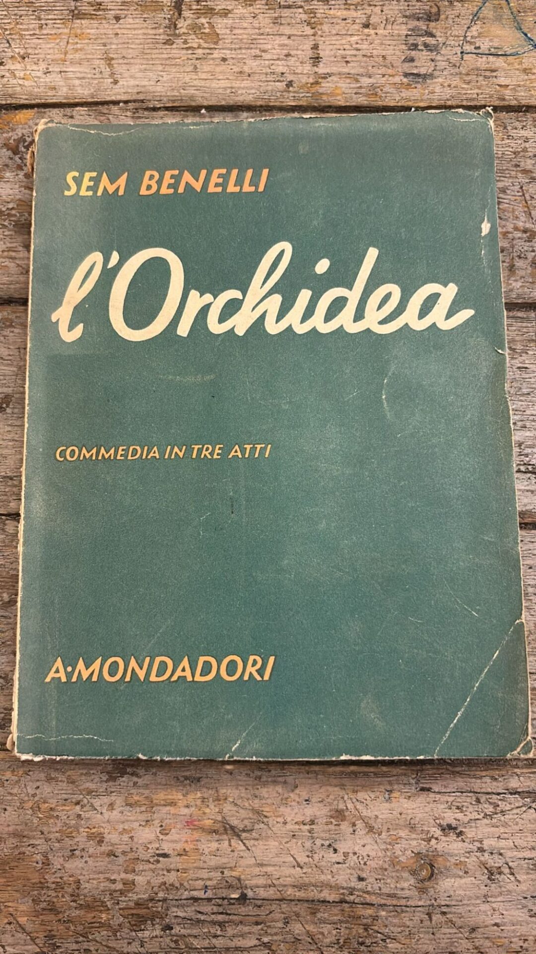 L'Orchidea
