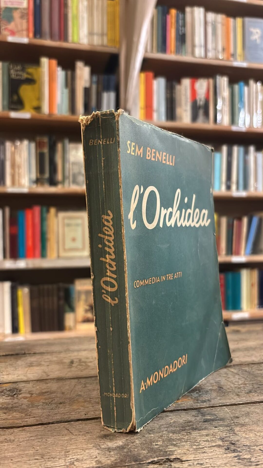 L'Orchidea - immagine 2
