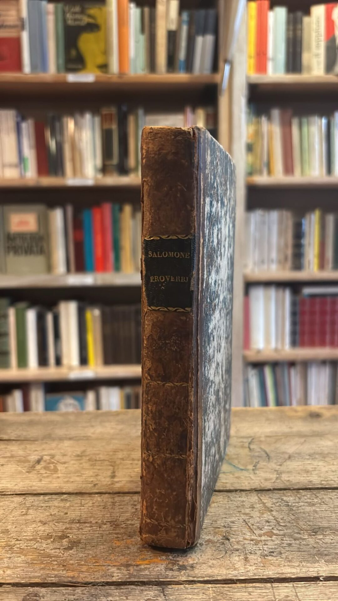 I proverbi del re Salomone - immagine 2