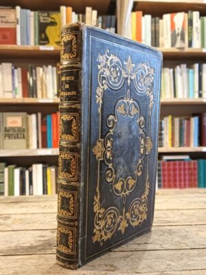 Les Ducs de Bourgogne, histoire des XIV et XV siècles