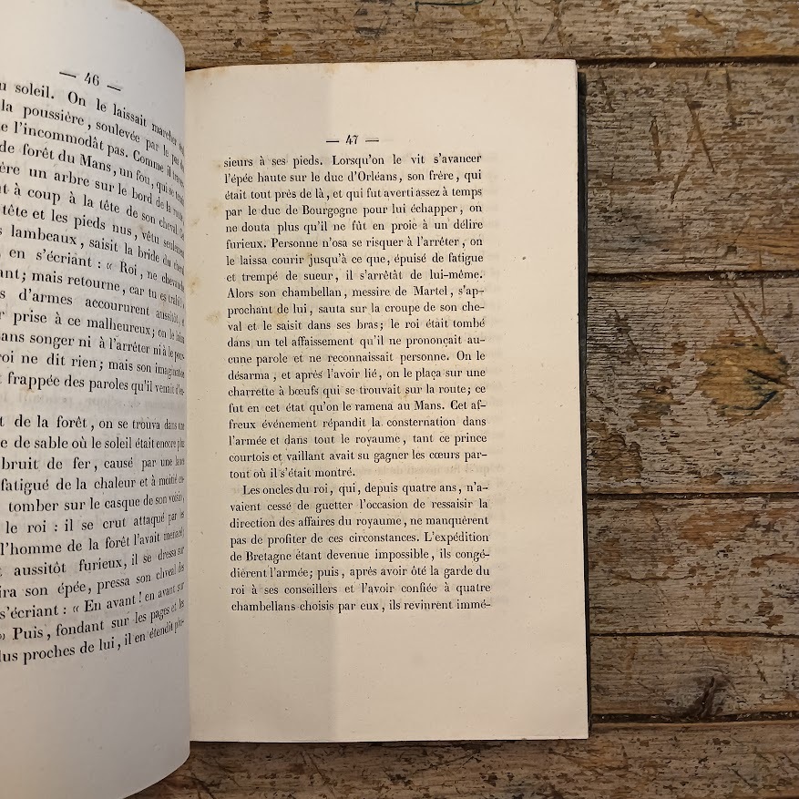 Les Ducs de Bourgogne, histoire des XIV et XV siècles - immagine 8