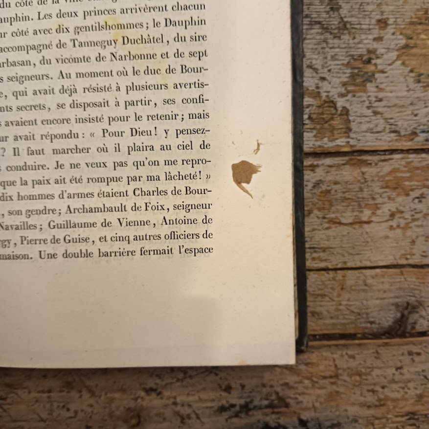Les Ducs de Bourgogne, histoire des XIV et XV siècles - immagine 9