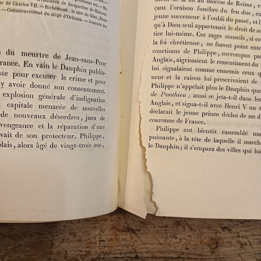 Les Ducs de Bourgogne, histoire des XIV et XV siècles - immagine 10