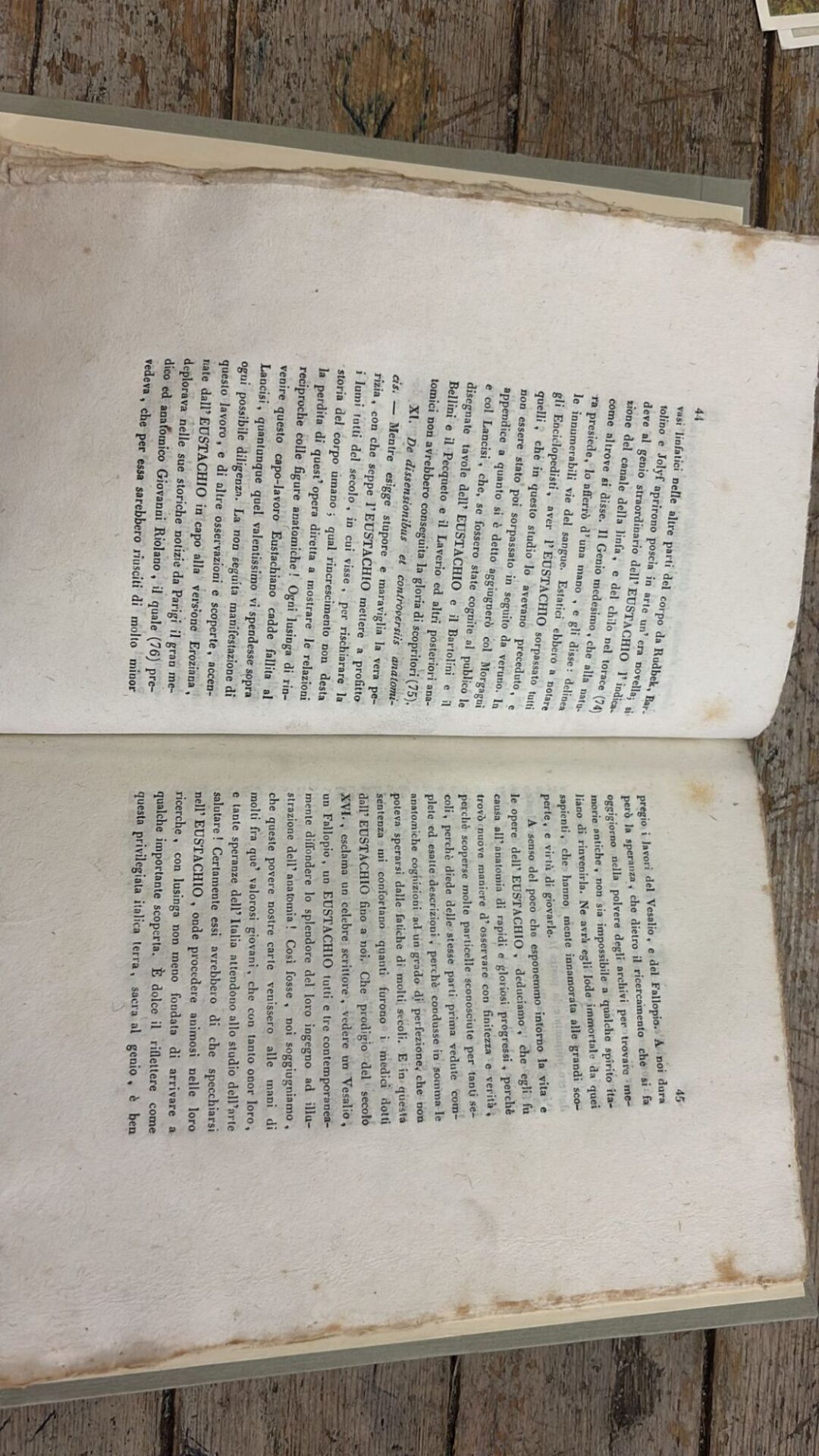 Elogio di Bartolomeo Eustachio e memorie storiche di Eustachio Divini Settempedani - immagine 3