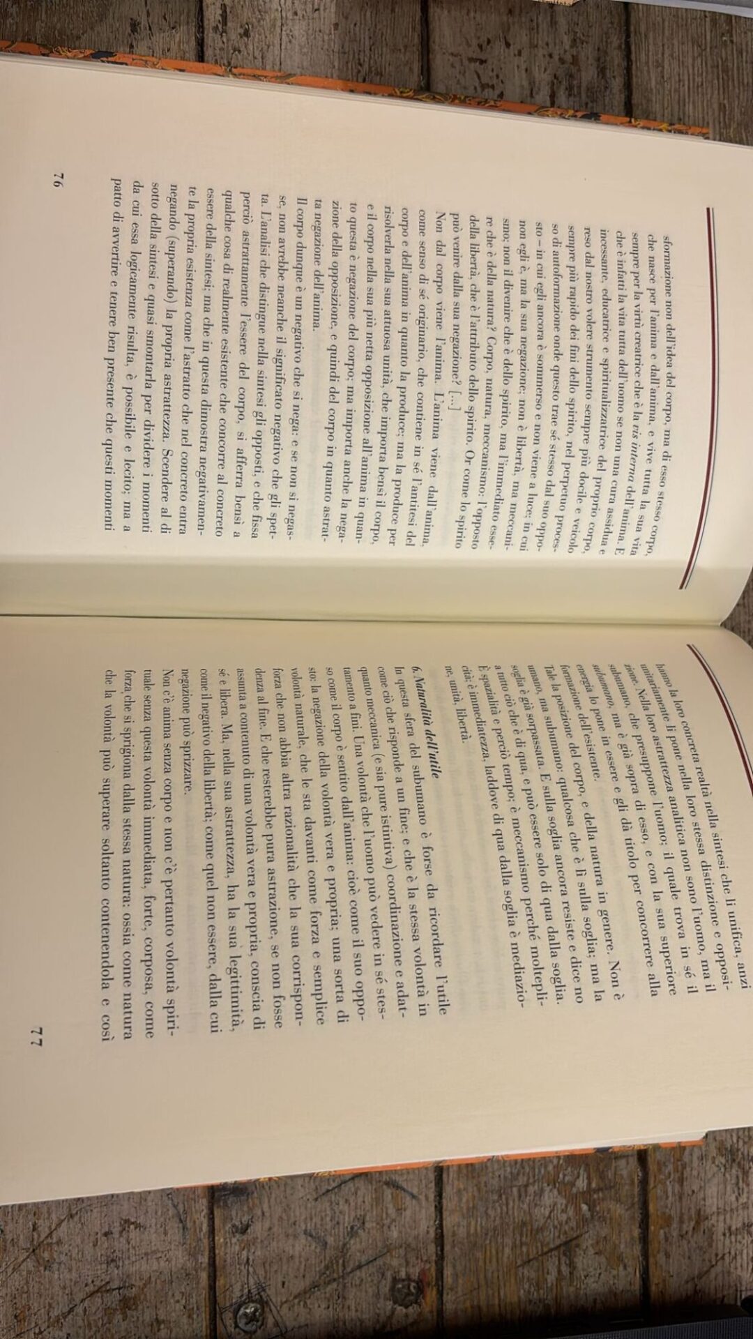 Genesi e struttura della società - immagine 3