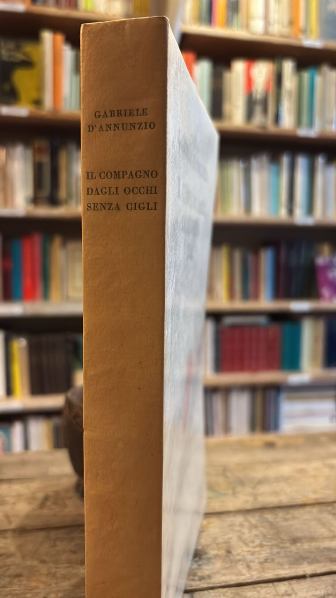 Il compagno dagli occhi senza cigli - immagine 2