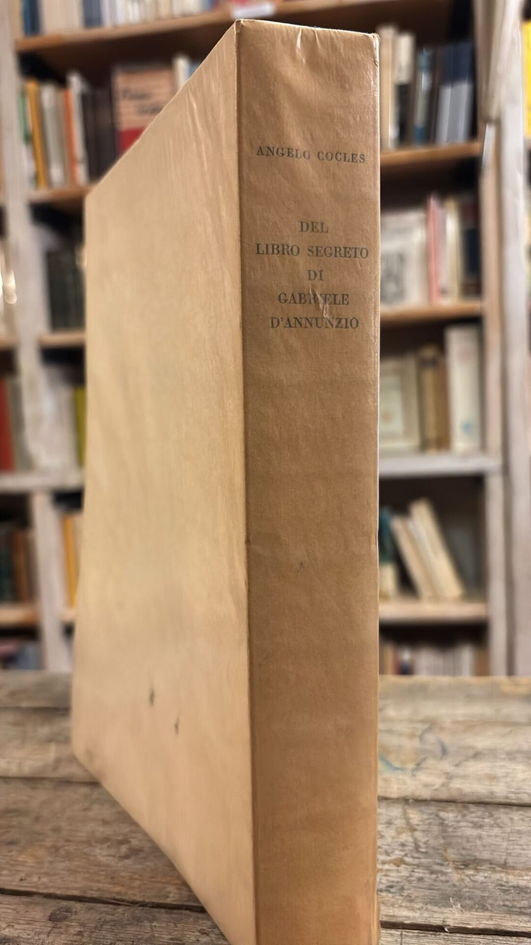 Cento e cento e cento e cento pagine del libro segreto di Gabriele D'Annunzio tentato di morire - immagine 2