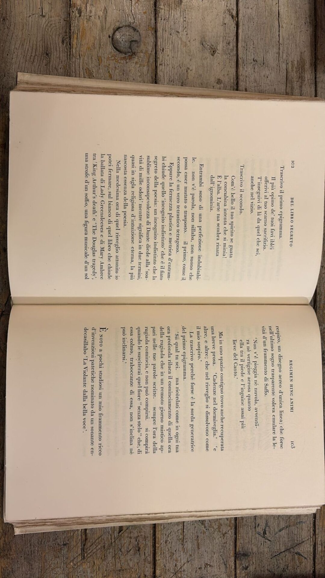 Cento e cento e cento e cento pagine del libro segreto di Gabriele D'Annunzio tentato di morire - immagine 3