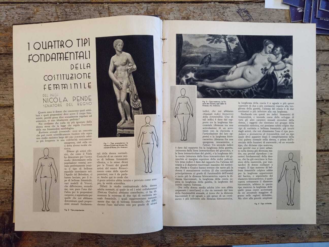 L'illustrazione del medico (1935) - immagine 3