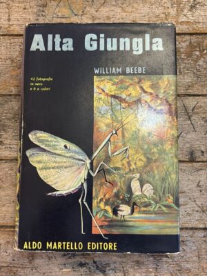 Alta giungla