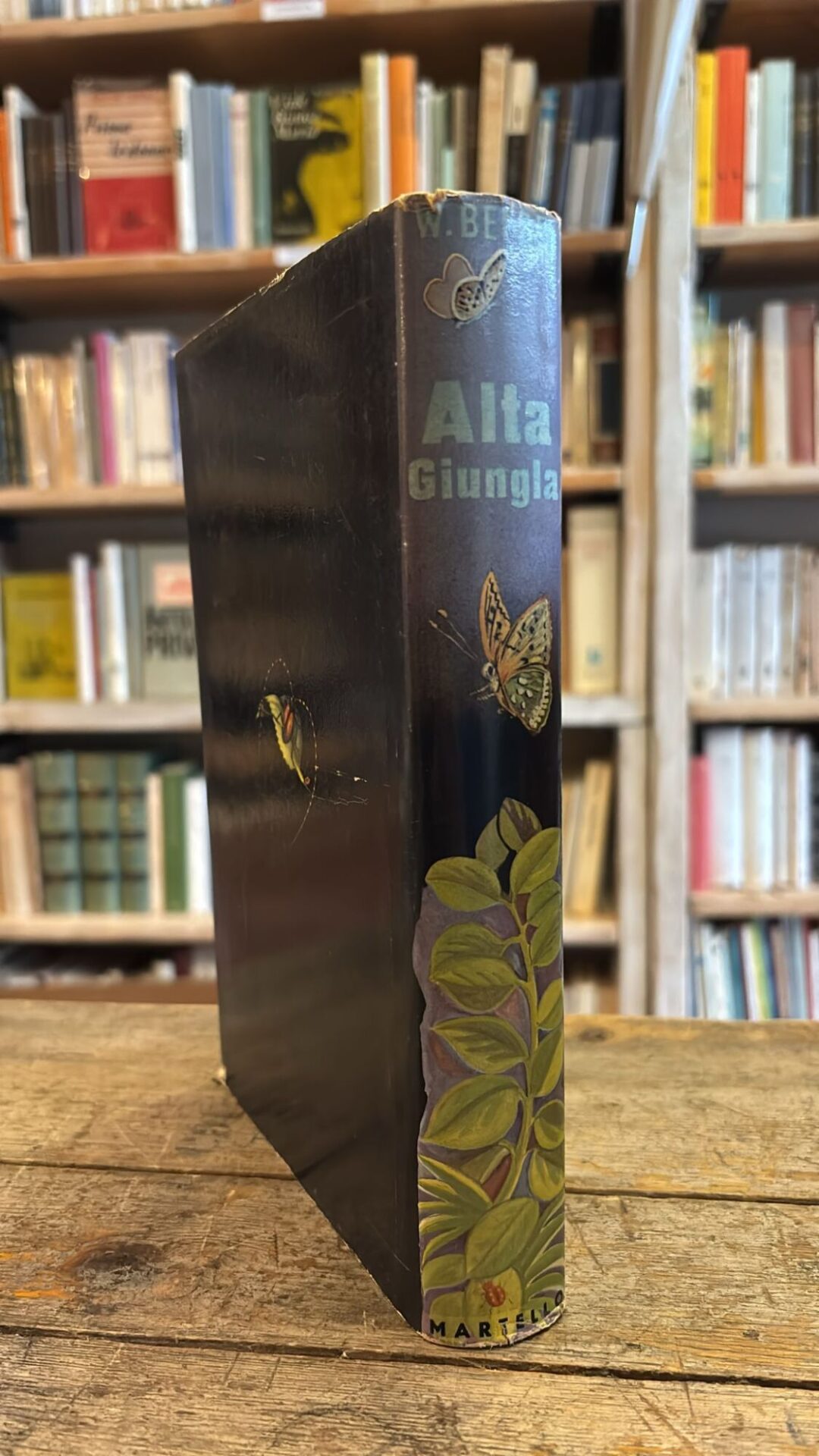 Alta giungla - immagine 2