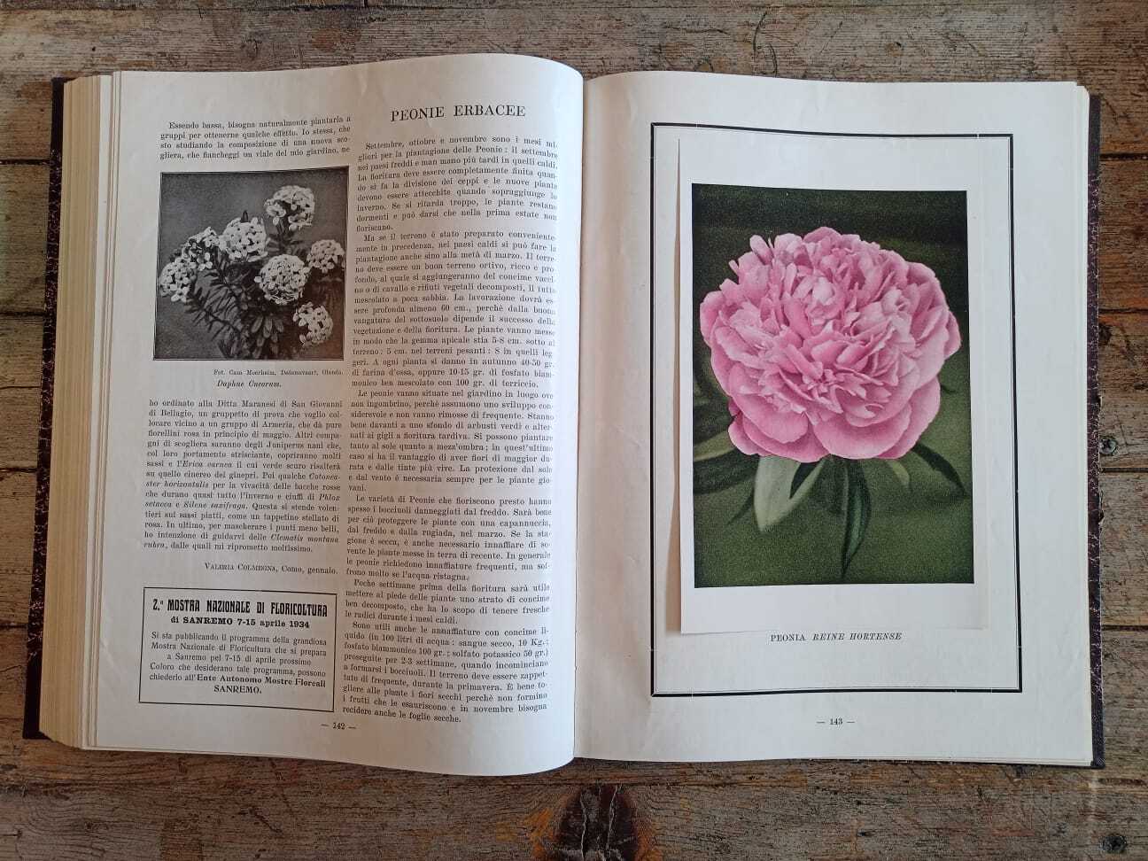 Il Giardino Fiorini (1932-34)